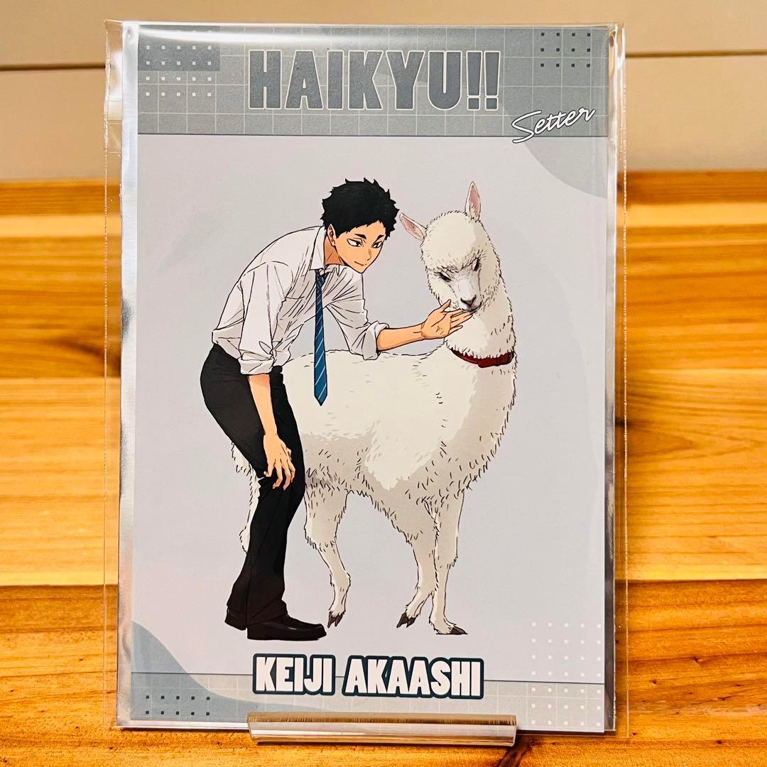 018【新品】ハイキュー 木兎 光太郎 赤葦 京治 東武動物公園 特典 非売品