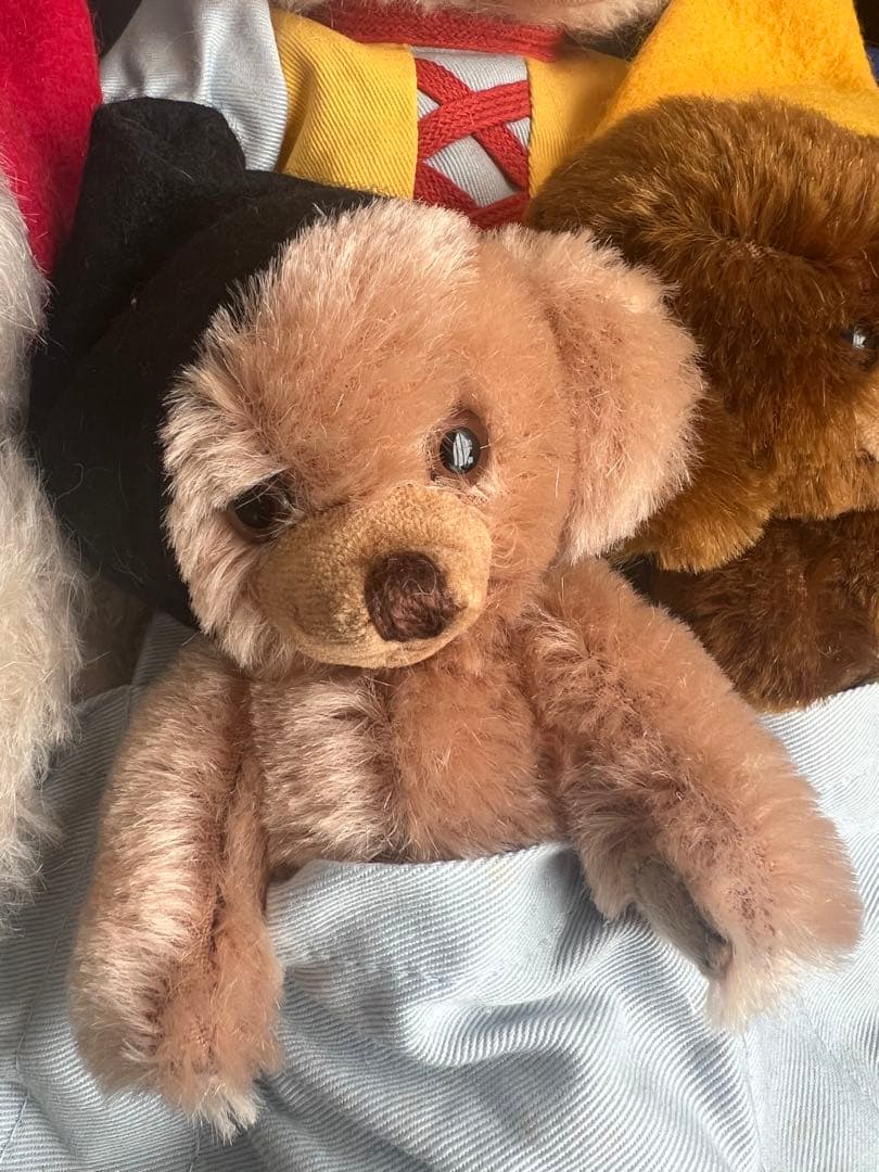 メリーソート⭐︎チーキーシリアルナンバー10