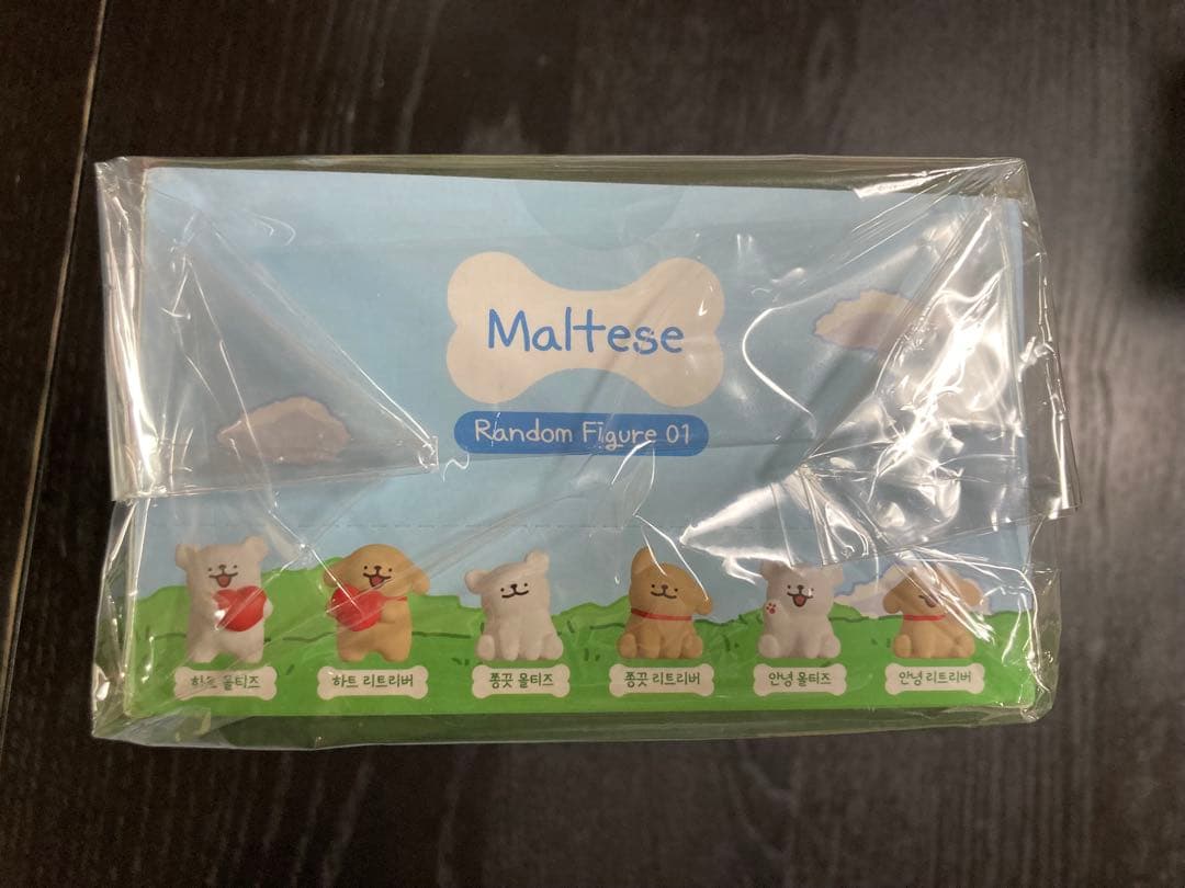 Maltese Puppy モルチーズ フィギュア ボックス 6個