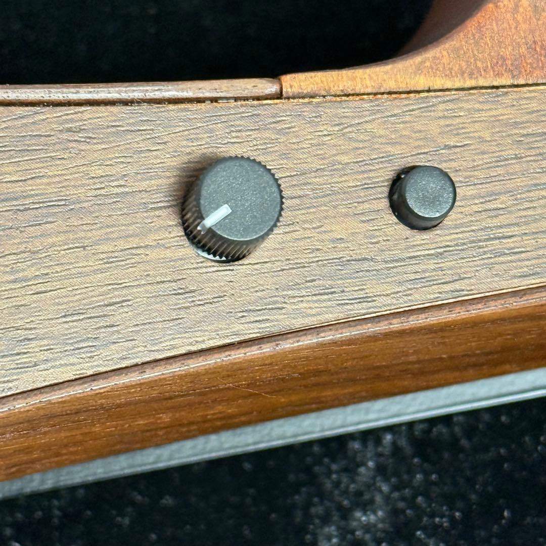 YAMAHA ヤマハ　エレクトリック　バイオリン YEV105