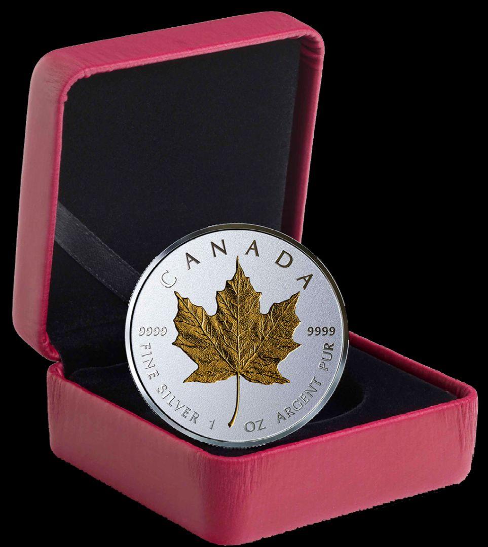 タ*2様 ☆2019年カナダ▪ GML40周年記念限定ゴールドメイプルリーフ20