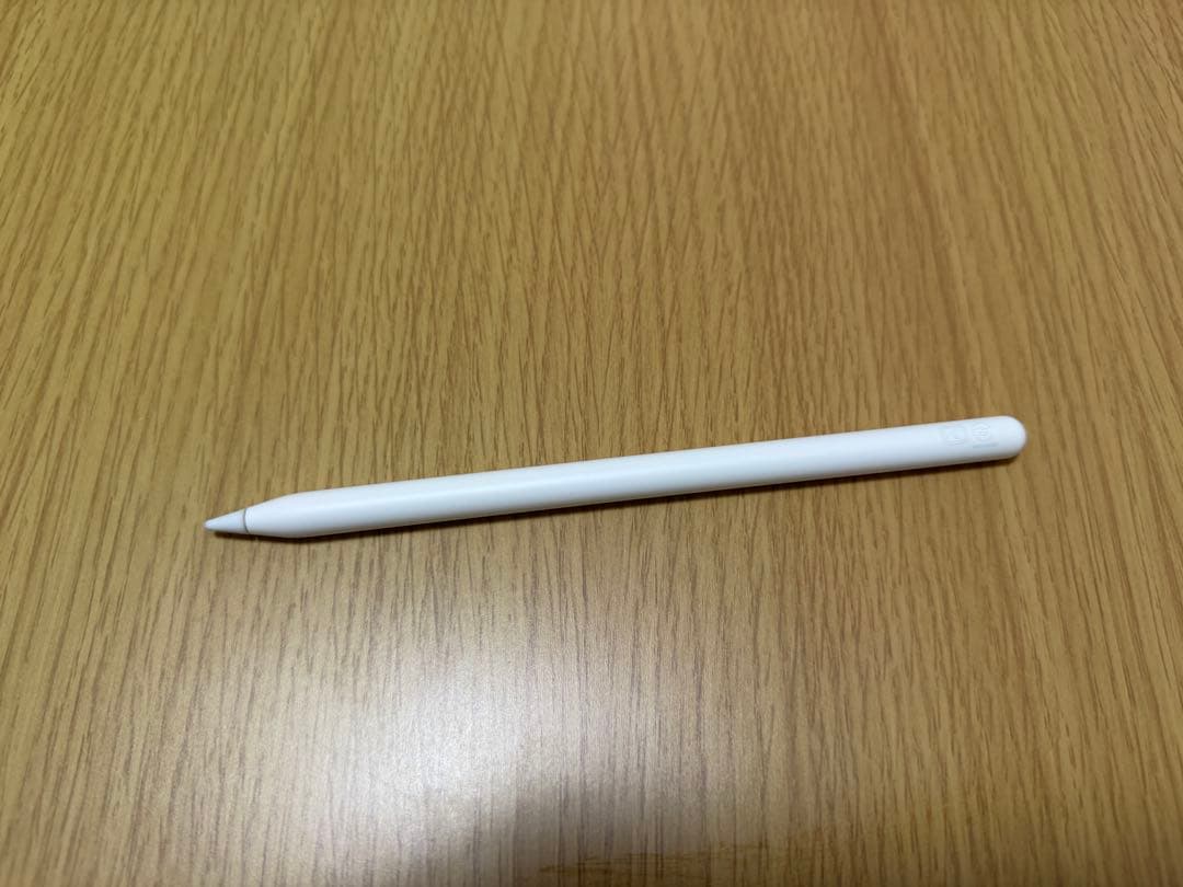 【Chaser Dream】iPad pro11インチ256GB 第2世代