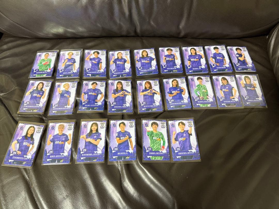 y*9様 サンフレッチェ 広島 レジーナ オンサイトカード ノーマルカード 全選