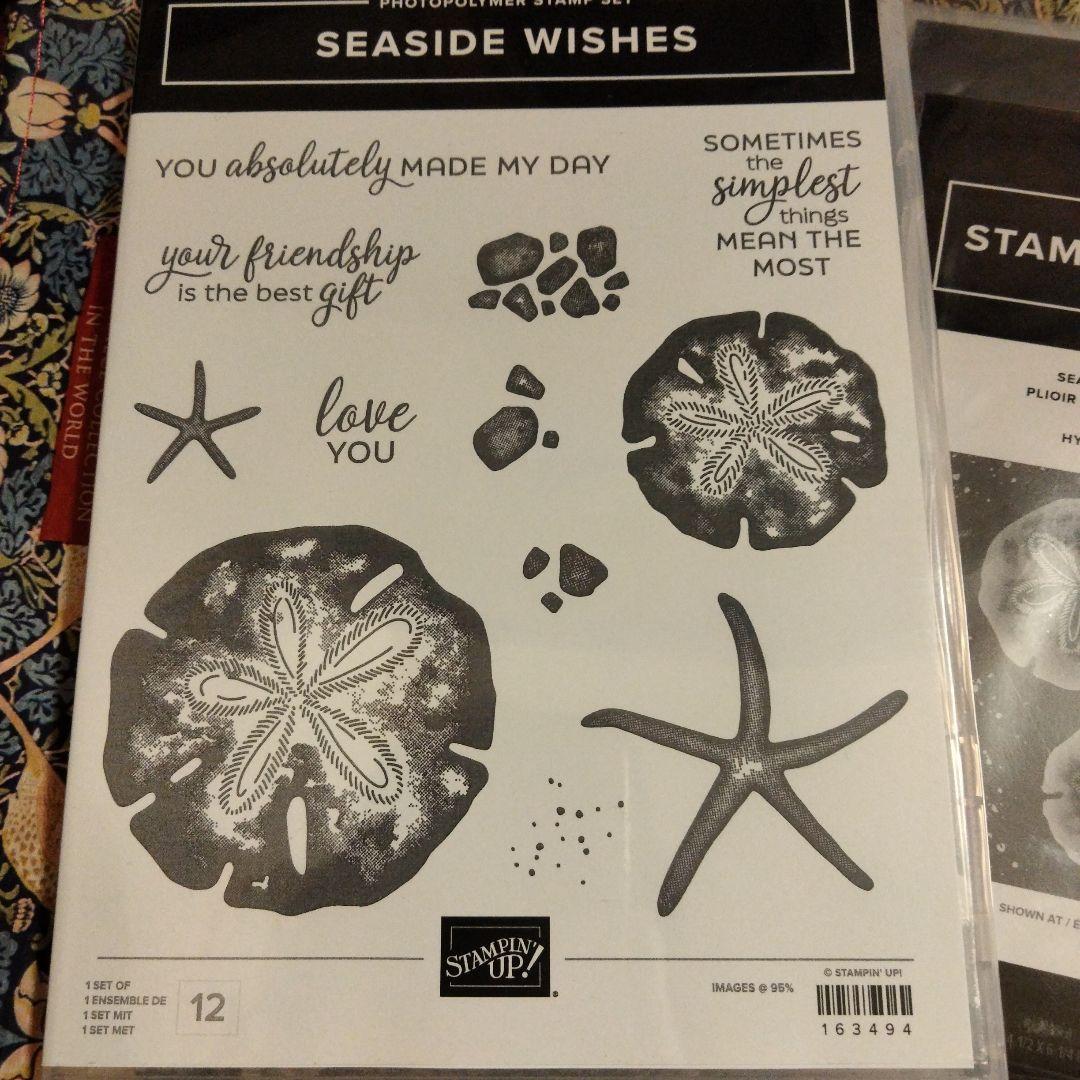 １点限り♡未開封　新作ハイブリッドエンボスフォルダー&スタンプ　スタンピンアップ