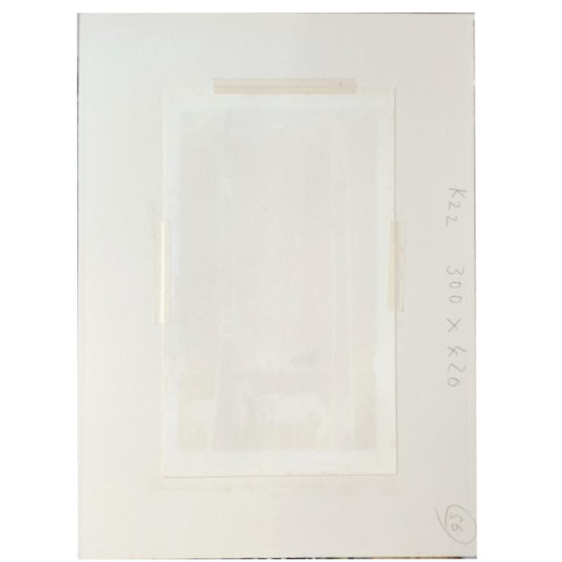 ☆セルジュ・ラシス☆「馬シリーズ」リトグラフ　E.A