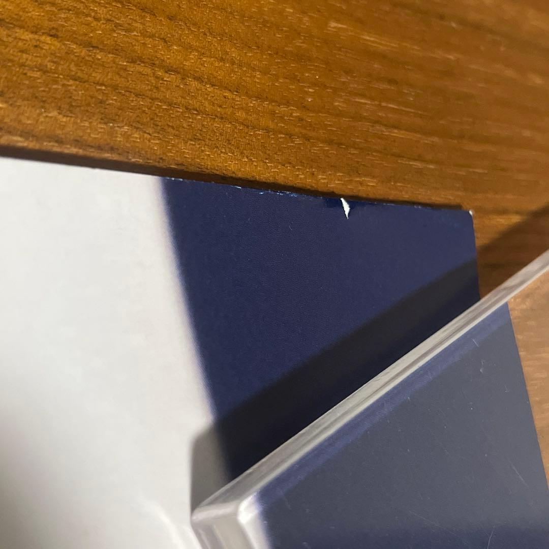 ジェンティルドンナ　オルフェーヴル　2012年ジャパンカップ　A1ポスター　競馬