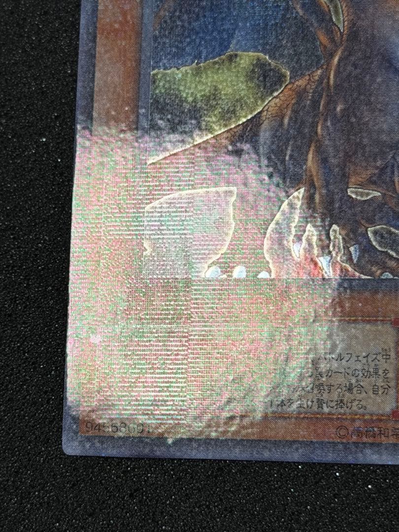 確認用　タイラント・ドラゴン