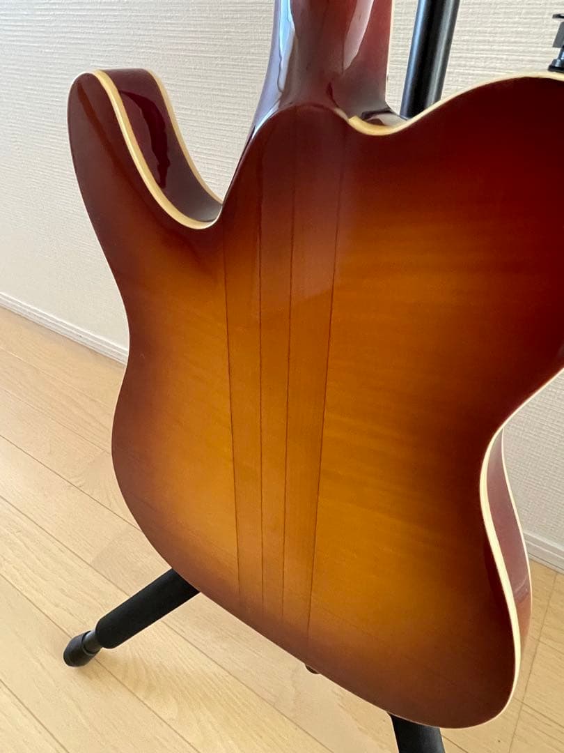 はちわれ様用絶版プレテクTL700deluxeテレキャスタイプ スルーネックエレ