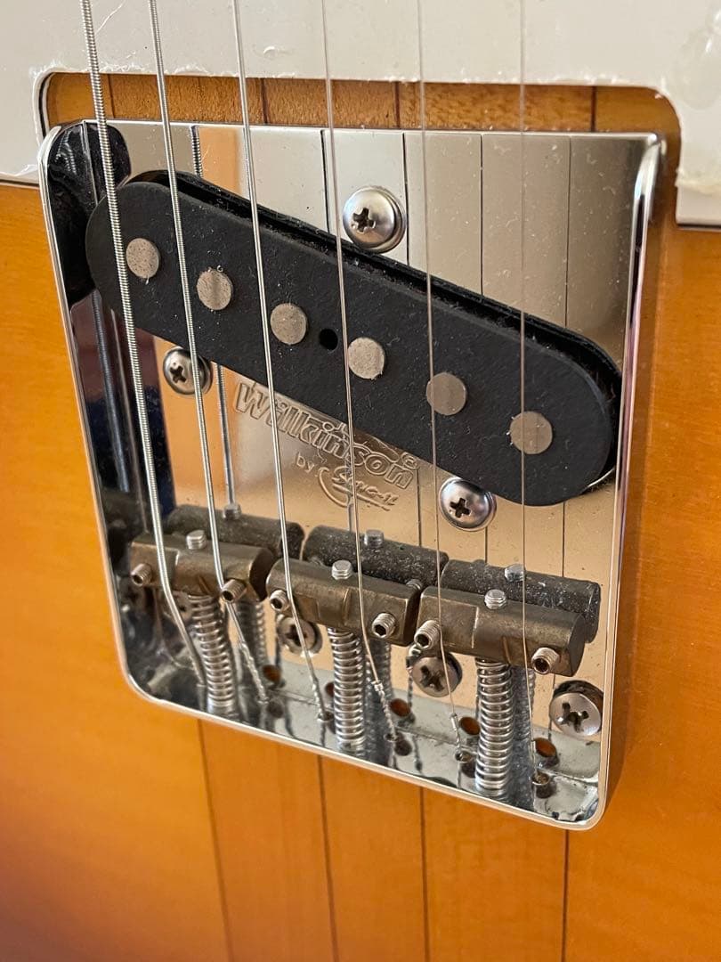 はちわれ様用絶版プレテクTL700deluxeテレキャスタイプ スルーネックエレ