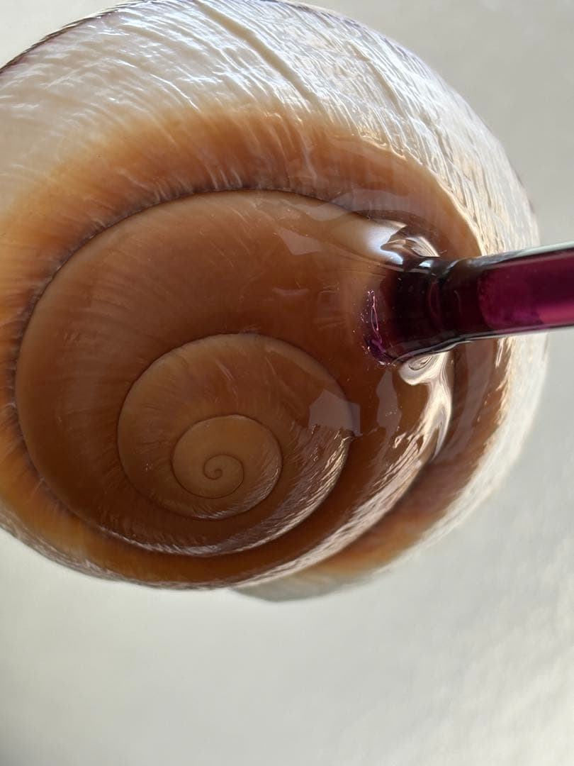 シェルグラス インテリア アクセサリースタンド