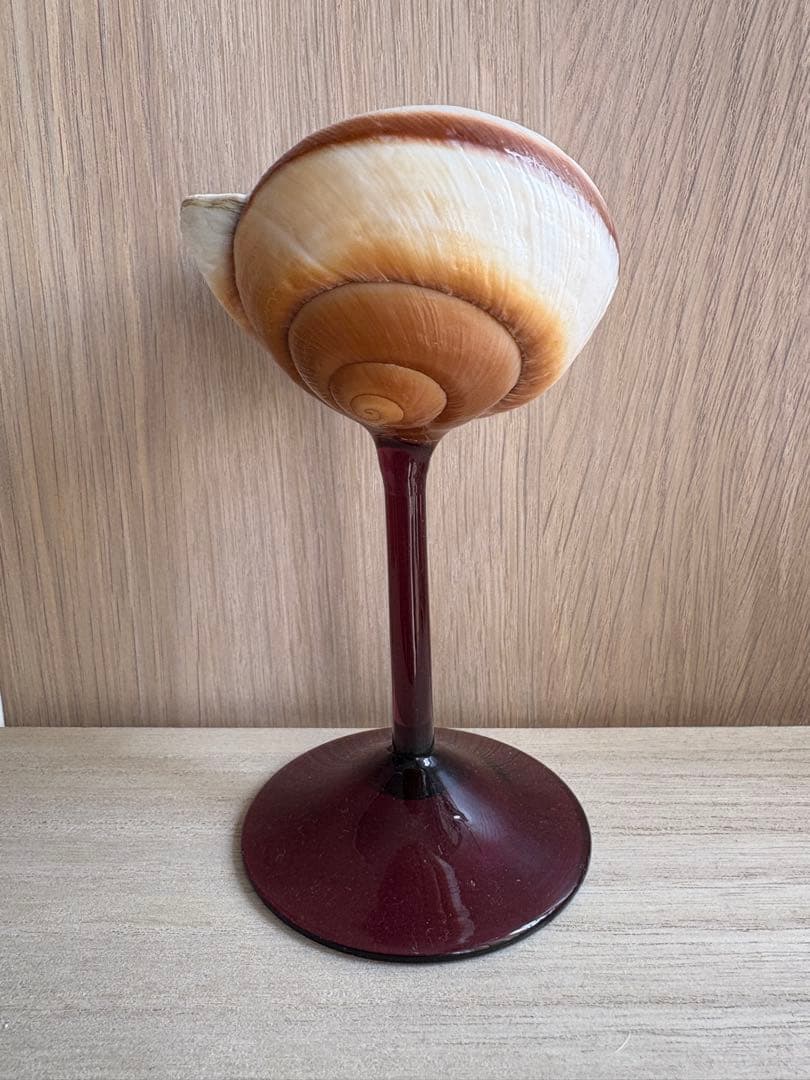 シェルグラス インテリア アクセサリースタンド