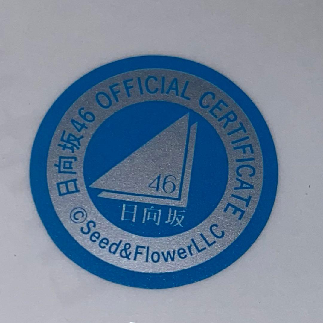 え*ん様 日向坂46 平尾帆夏 2024サンタ衣装 直筆サイン 入り生写真