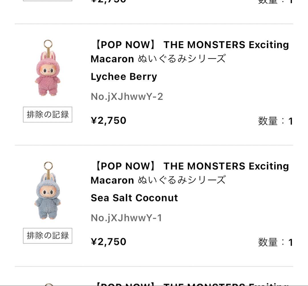 マカロン Exciting Macaron アソート　外箱無し　新品未開封品