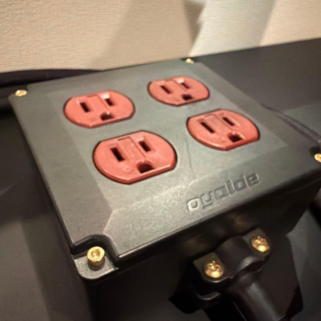 OYAIDE / OCB-1 AX 2.0m 2P特注仕様