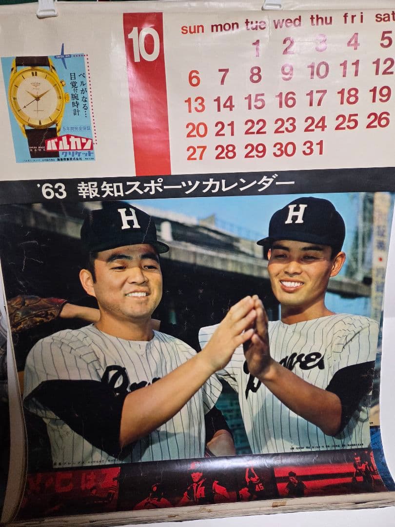 珍品　1963報知スポーツ　野球カレンダー