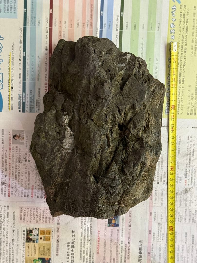 ADA 万天石　大1個です