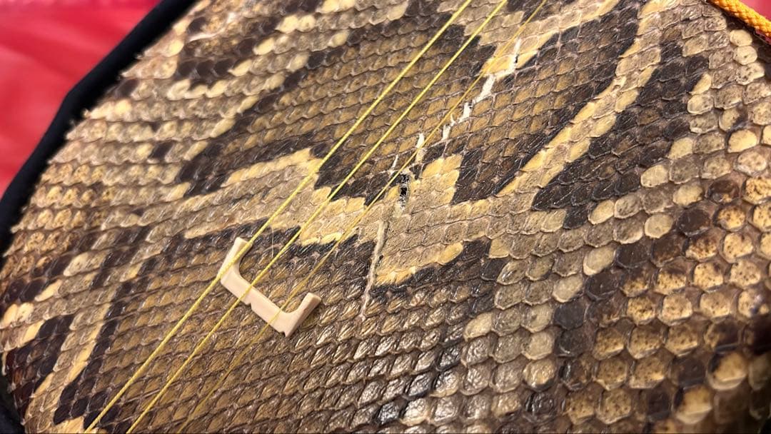 パールさん専用！【ジャンク】奄美 蛇皮三味線本体 3弦 角型おまけ付き