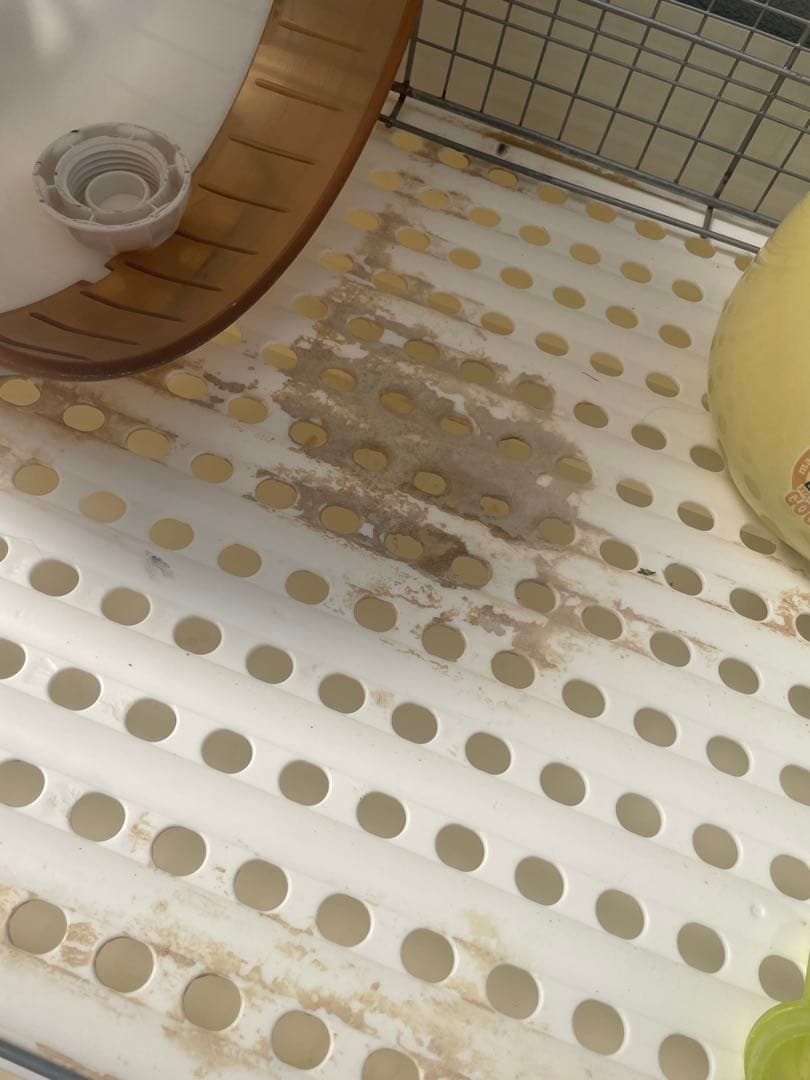 小動物用ケージ SANKO イージーホームハイメッシュ