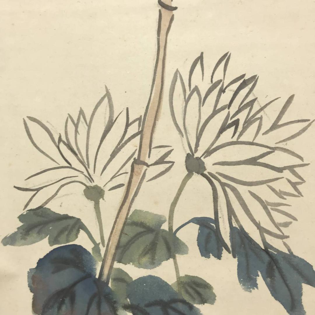 【真作】石井柏亭/菊図/花図/菊花図/掛軸/名家伝来/AC-436