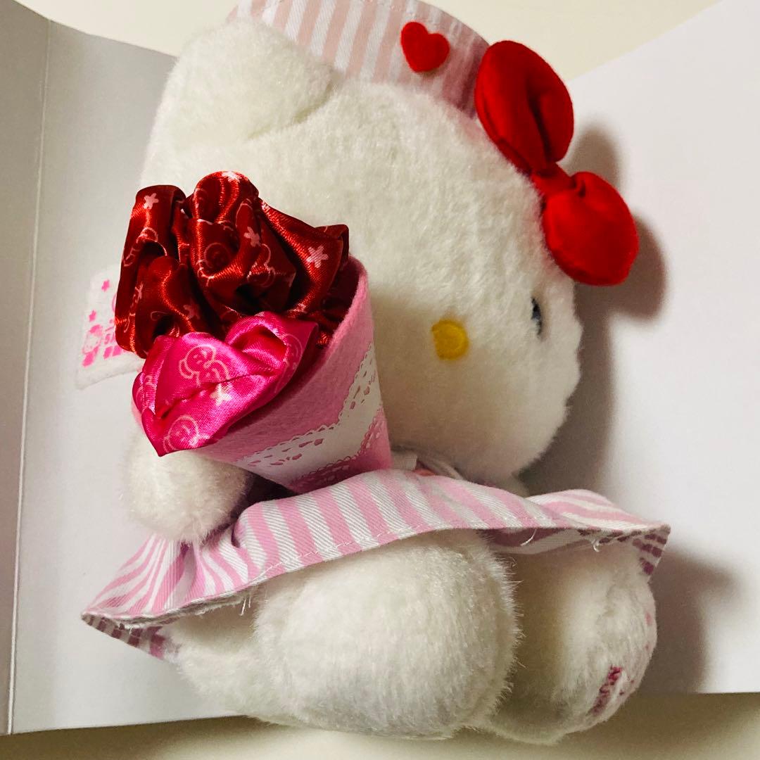 美品✳️ハローキティ『ナースキティ ぬいぐるみ 2011年ver.』看護の日