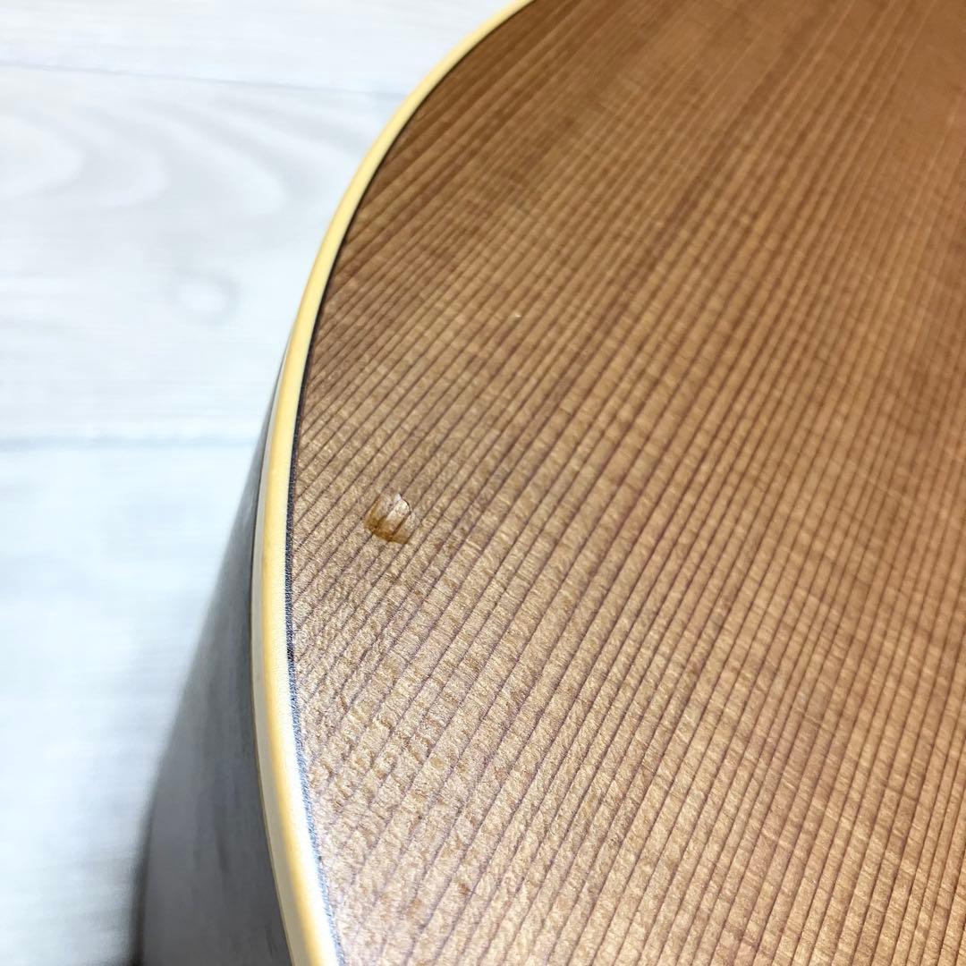 【中古良音】Seagull / シーガル　S6+CEDAR アコギ　ギター