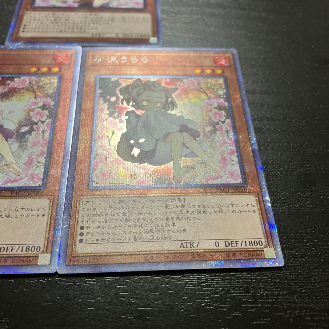 遊戯王　灰流うらら　絵違い プリズマティックシークレットレア3枚