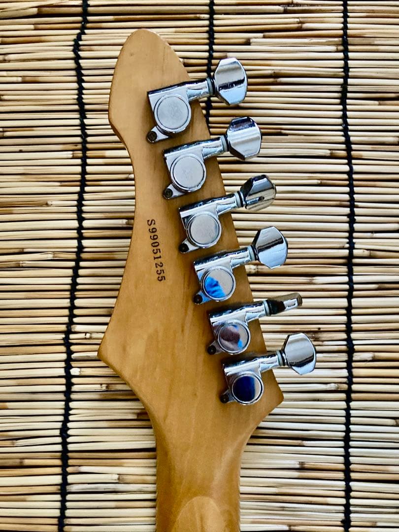 ☆早い者勝ち☆珍色　モディファイして新機能満載 AriaProII SSH ST