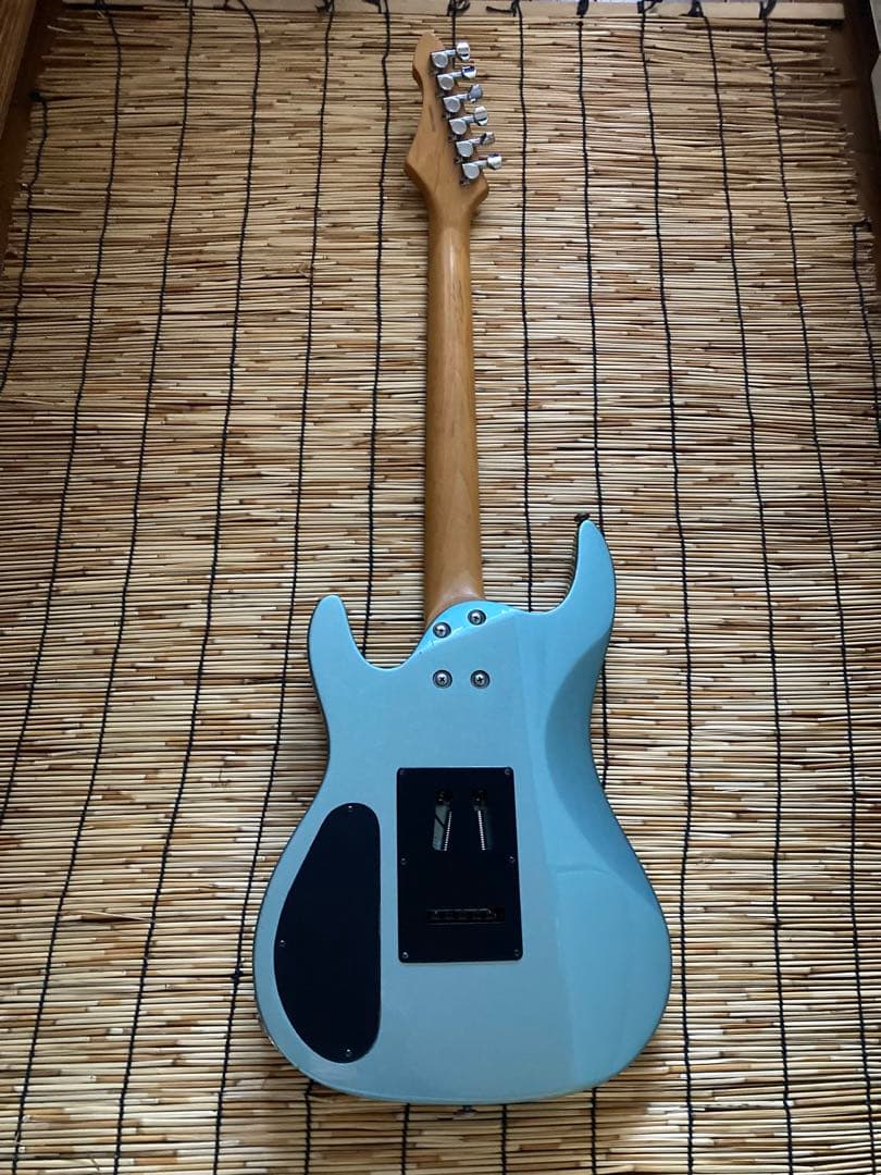 ☆早い者勝ち☆珍色　モディファイして新機能満載 AriaProII SSH ST