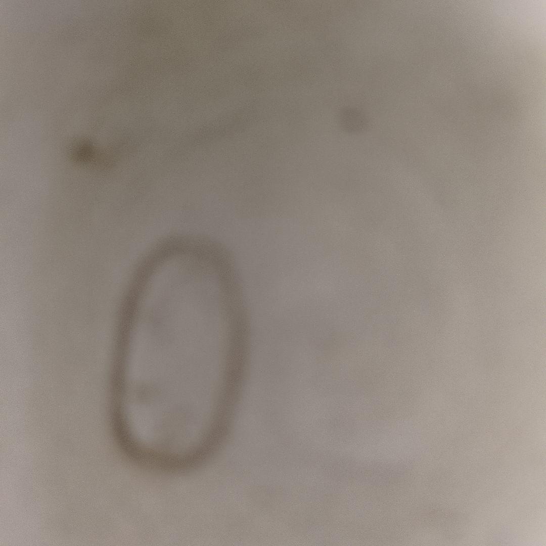 茶道具「御本茶盌」竜谷窯　 宮川香雲　作