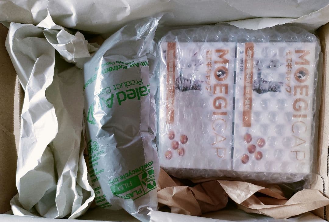 モエギキャップ 100粒（10粒×10シート）2個 犬猫サプリメント*新品