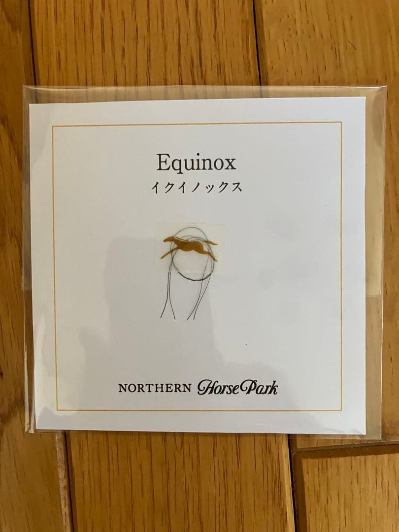 イクイノックス　2022 有馬記念　鬣　たてがみ　馬券　単勝　現地購入　的中