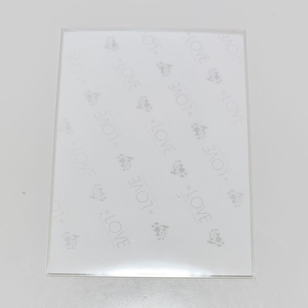 野口衣織 直筆 イコラブ 生写真 魔法少女