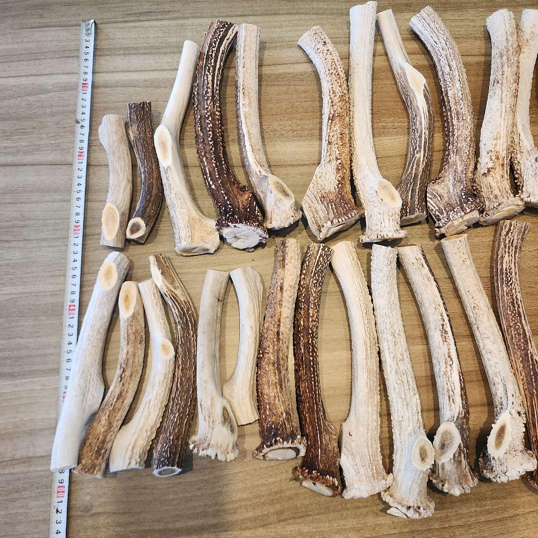 ぶち　鹿の角 (特大～大サイズ)犬用おもちゃ ランダム　2kg　8本