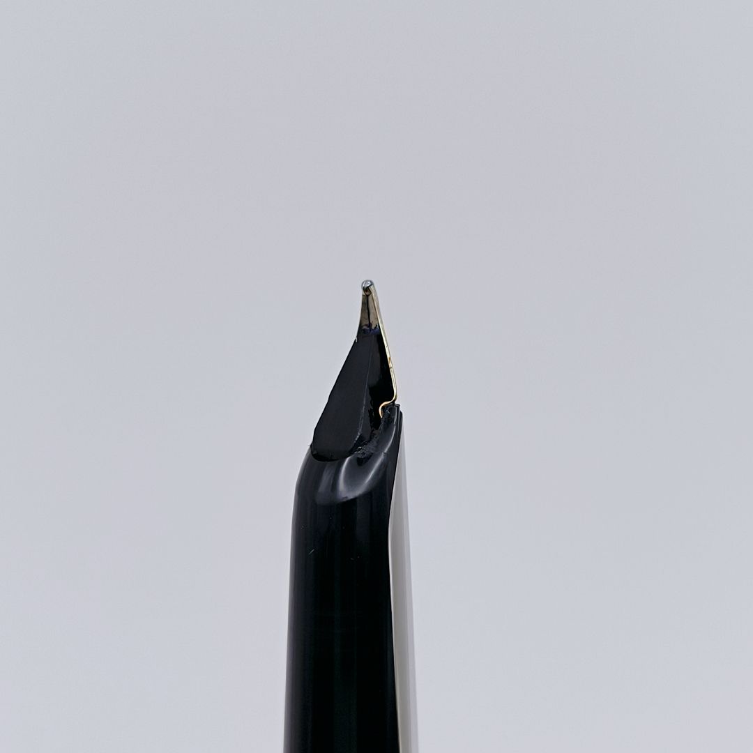 万年筆 WATERMAN C/F シルバーモアレ 18k ウォーターマン