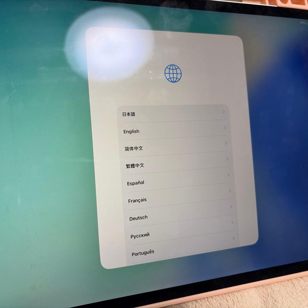 iPad pro 第4世代　12.9インチ　シルバー 本体　Wi-Fiモデル