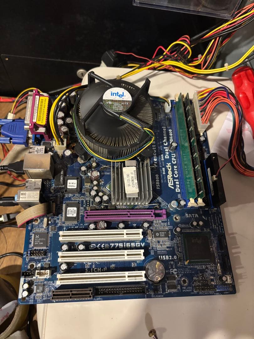 専用　初期フェニ