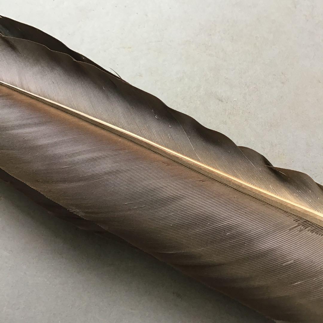 茶道具　御羽箒　三ツ羽根(野雁)羽箒　紙箱劣化有　S68HB