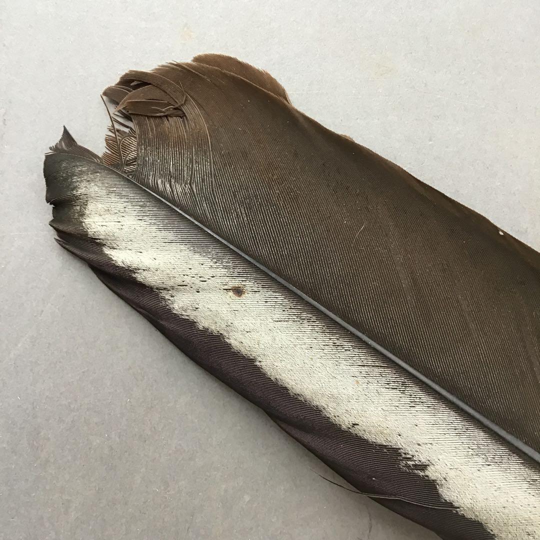 茶道具　御羽箒　三ツ羽根(野雁)羽箒　紙箱劣化有　S68HB
