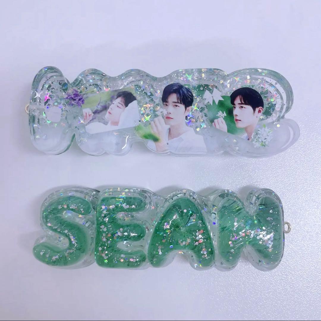 肖戦 厚いレジン置物です&バッグチャームに&ナイトライトにもなります❣️9点