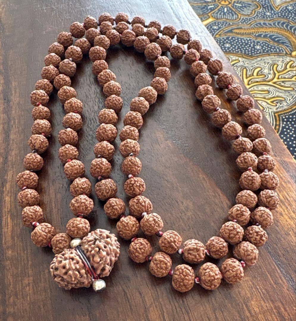 ねこのつかい ルドラクシャマーラー　トップガウリシャンカール