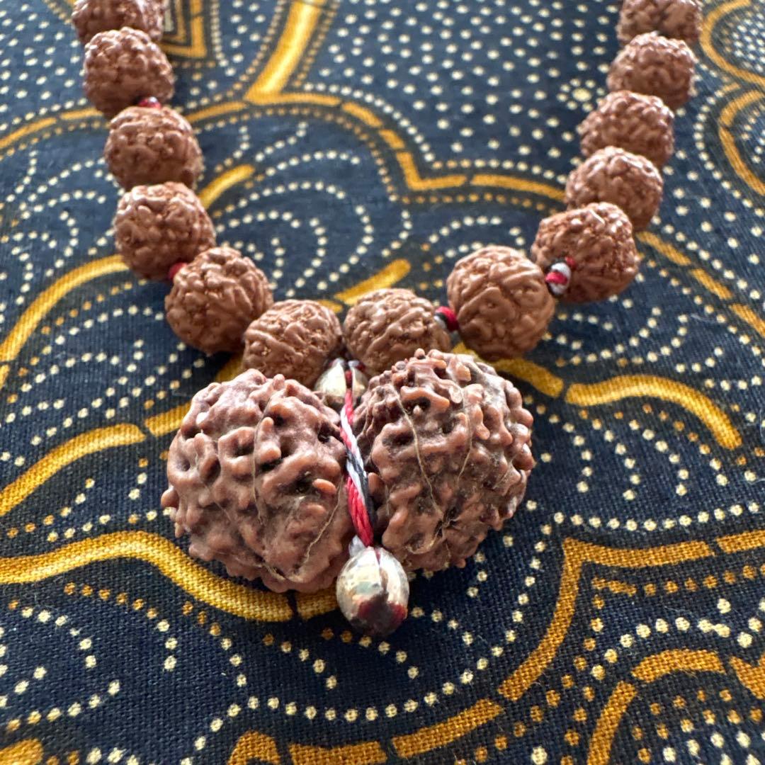 ねこのつかい ルドラクシャマーラー　トップガウリシャンカール