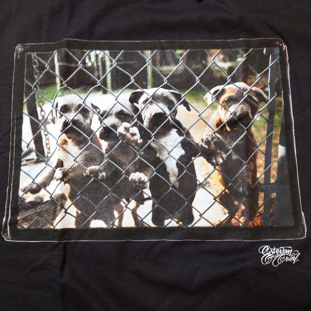 stussy ステューシー 犬 Lサイズ Tシャツ