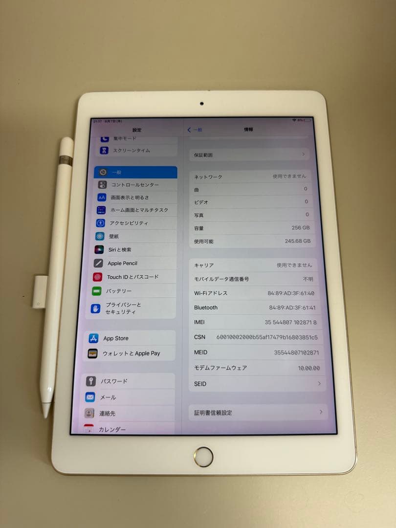 Apple iPad pro 本体 + Apple Pencil 第1世代
