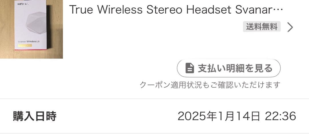 HIFIMAN Svanar Wireless Jr ワイヤレスイヤホン