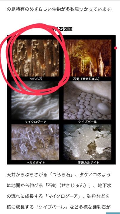 玉泉洞　鍾乳洞　格安