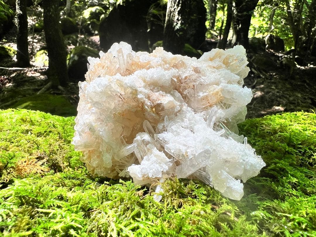 龍脈の精髄 クラスター 導きを結ぶ調和の結晶 売上一部保護猫活動に使用