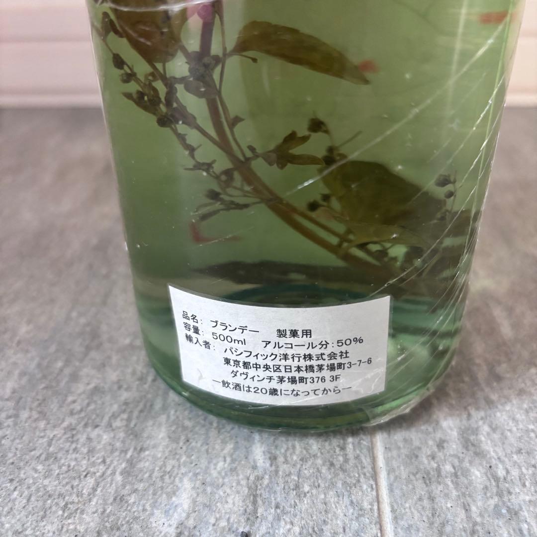 【美品】ロマーノレヴィ ルータ ミント グラッパ ハーブ入 2007 750ml