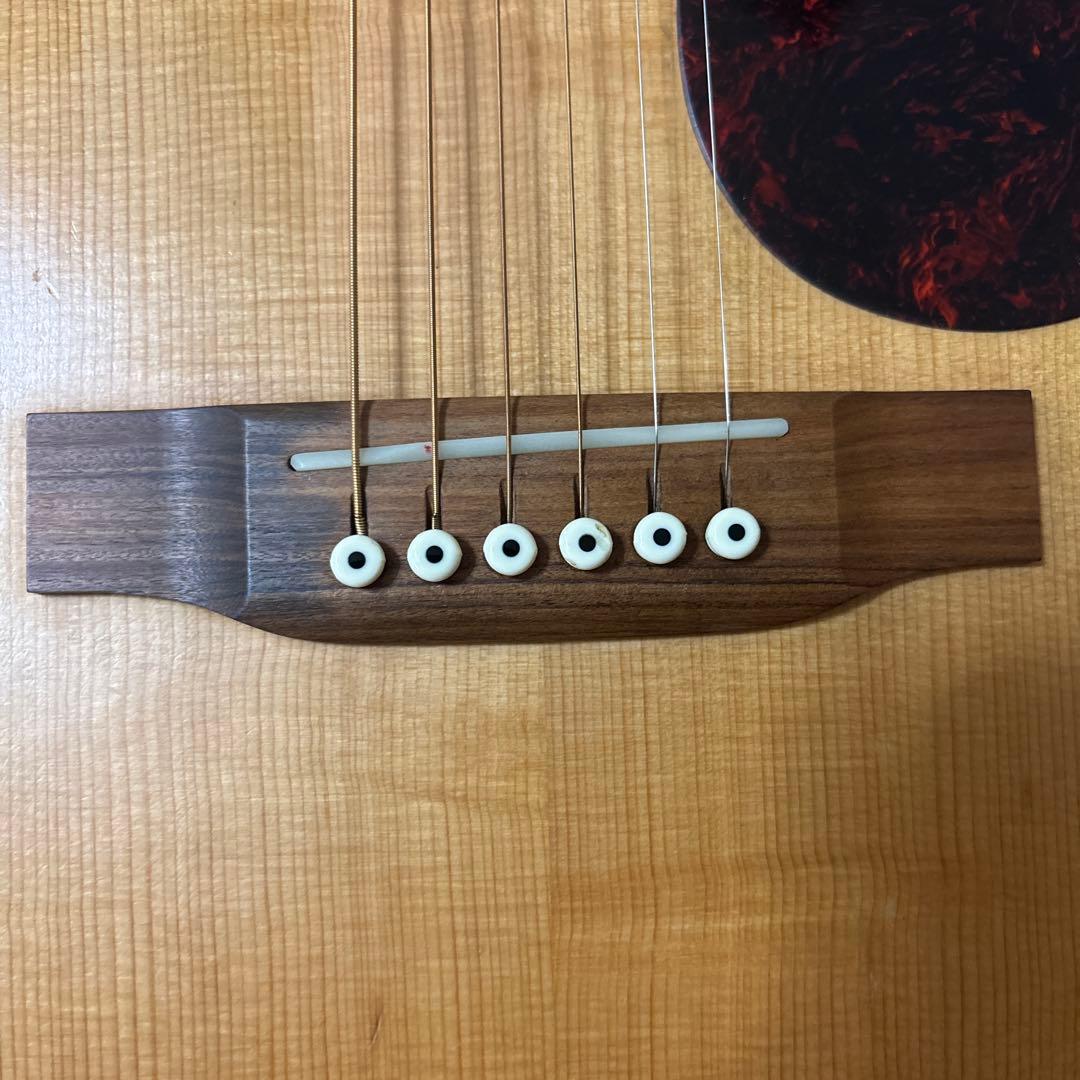 Martin & Co. DM アコースティックギター弦高調整済み