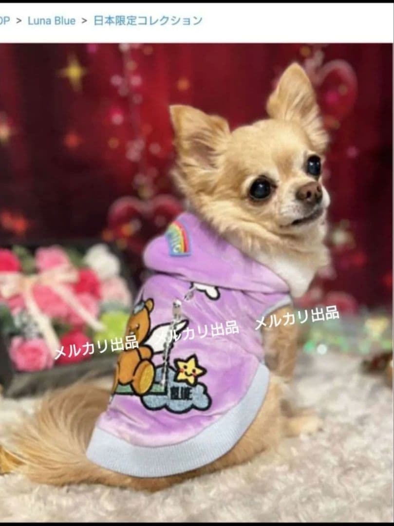 Luna Blue　ルナブルーパーカー　プーチーノユニコーンフーディ　完売品