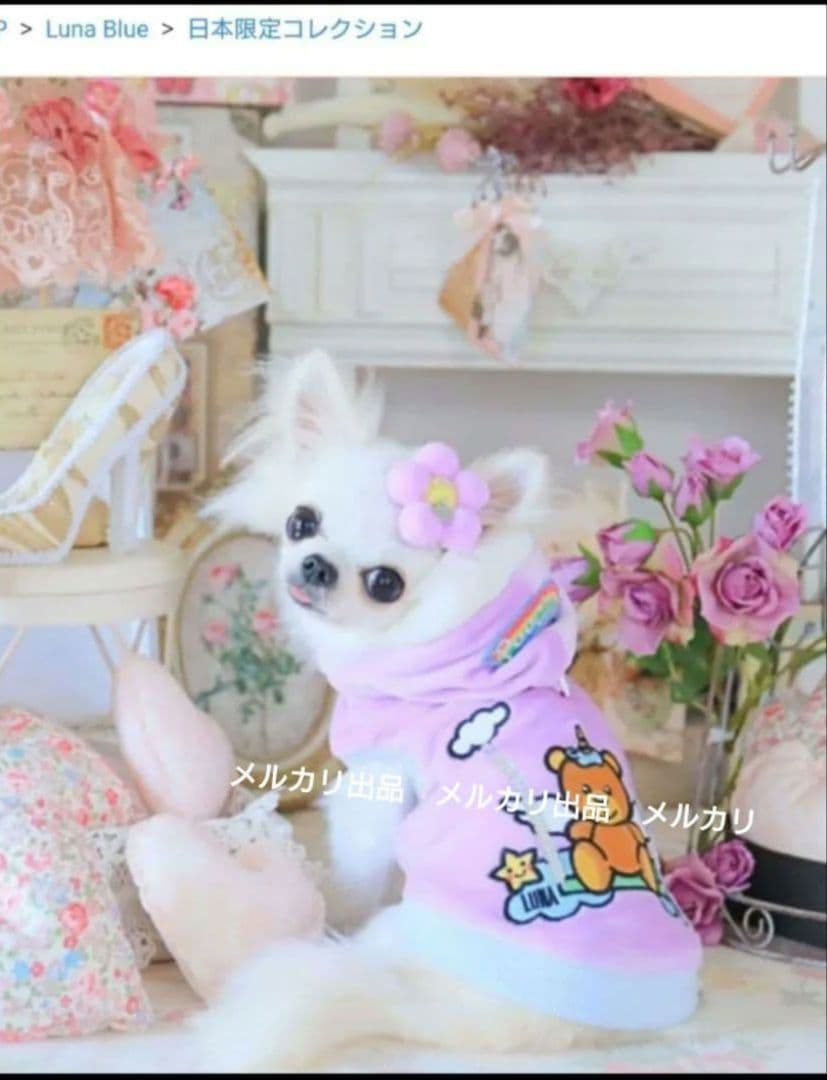 Luna Blue　ルナブルーパーカー　プーチーノユニコーンフーディ　完売品